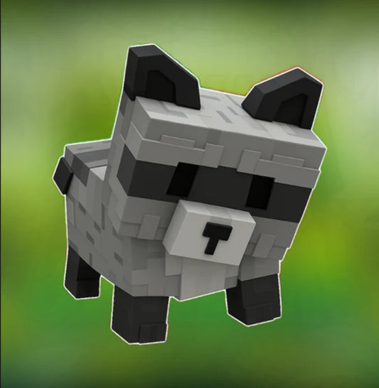 Raccoon
